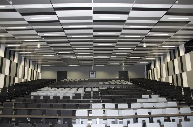 École dentaire de Clermont-Ferrand plafonds métalliques