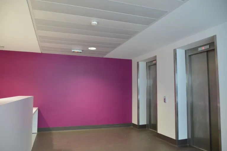 Hôpital-de-Chambery-plafonds