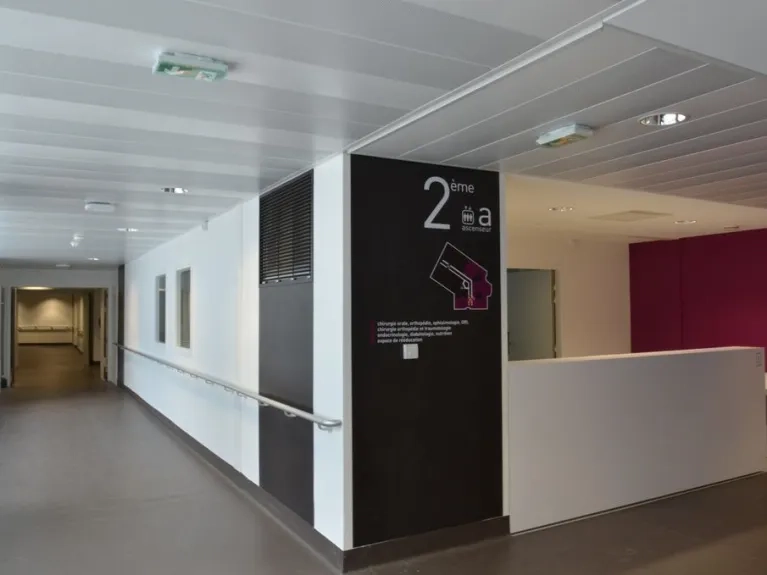 Hôpital-de-Chambery-plafonds