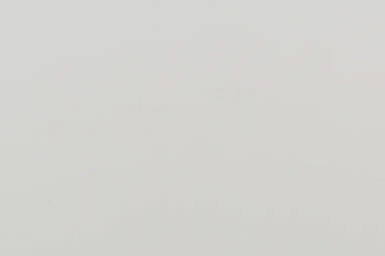 Acier prélaqué Blanc 137 Grainé structuré – PLAFOMETAL